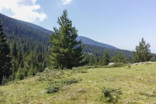 Amazing Landscape Pirin Mountain Mountain Begovitsa Hut Bulgaria — Zdjęcie stockowe