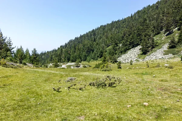 Bulgaristan Begovitsa Kulübesi Yakınlarındaki Pirin Dağı Nın Şaşırtıcı Manzarası — Stok fotoğraf