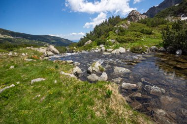 Bulgaristan 'ın Popovo Gölü yakınlarındaki Pirin Dağı' nın İnanılmaz Yaz Manzarası