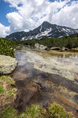 Bulgaristan 'ın Popovo Gölü yakınlarındaki Pirin Dağı' nın İnanılmaz Yaz Manzarası