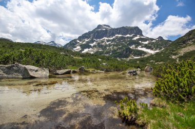 Bulgaristan 'ın Popovo Gölü yakınlarındaki Pirin Dağı' nın İnanılmaz Yaz Manzarası
