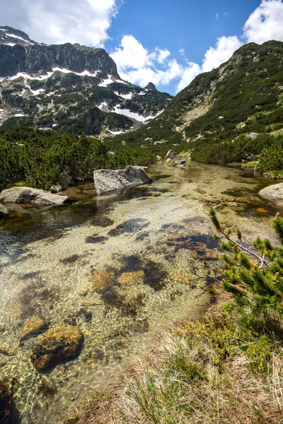 Incredibile Paesaggio Estivo Della Montagna Pirin Vicino Lago Popovo Bulgaria — Foto Stock