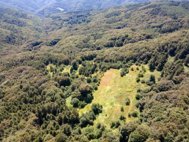 Bulgaristan 'ın Filibe Bölgesi, Rhodopes Dağı' ndaki Koprivkite bölgesinin havadan yaz manzarası