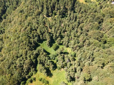 Bulgaristan 'ın Filibe Bölgesi, Rhodopes Dağı' ndaki Koprivkite bölgesinin havadan yaz manzarası