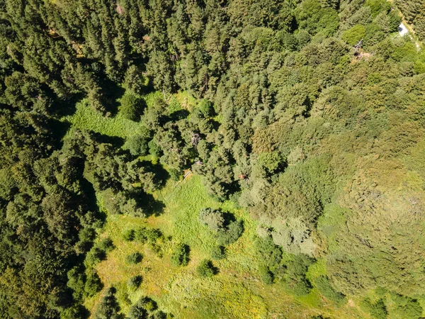 Bulgaristan 'ın Filibe Bölgesi, Rhodopes Dağı' ndaki Koprivkite bölgesinin havadan yaz manzarası