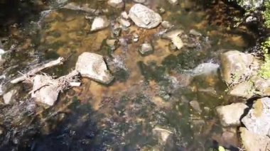 Aerial Summer view of Ecotrail Struilitsa and Devin River gorge, Smolyan Region, Bulgaria
