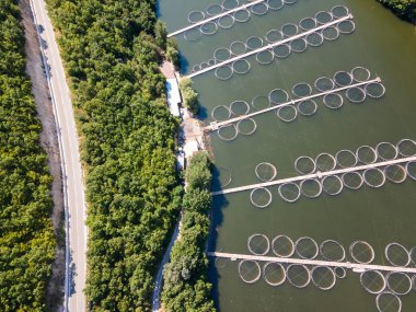 Krichim Reservoir, Rhodopes Dağı, Filibe Bölgesi, Bulgaristan