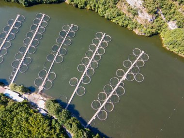 Krichim Reservoir, Rhodopes Dağı, Filibe Bölgesi, Bulgaristan