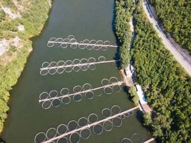 Krichim Reservoir, Rhodopes Dağı, Filibe Bölgesi, Bulgaristan