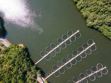 Krichim Reservoir, Rhodopes Dağı, Filibe Bölgesi, Bulgaristan