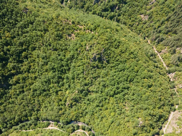 Aerial Summer View Ecotrail Struilitsa Devin River Gorge Smolyan Region — Stock Fotó