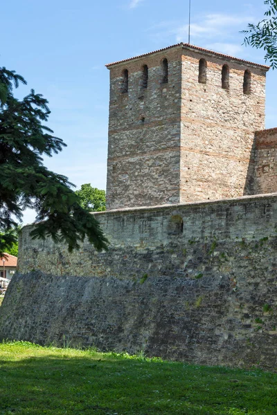 中世のババ ヴィダ要塞 中世のババ ヴィダ要塞 ブルガリアのヴィディン町ドナウ川沿岸 — ストック写真