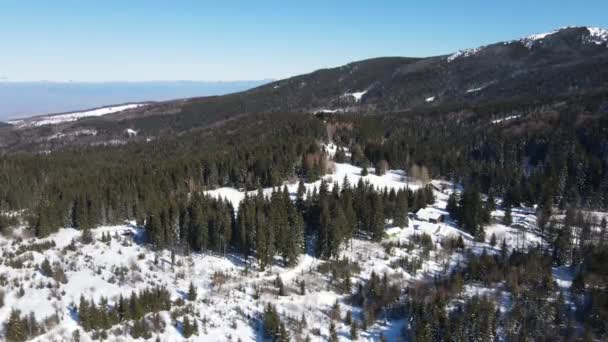 Flygfoto Vinter Utsikt Över Vitosha Mountain Vid Ofeliite Område Sofia — Stockvideo