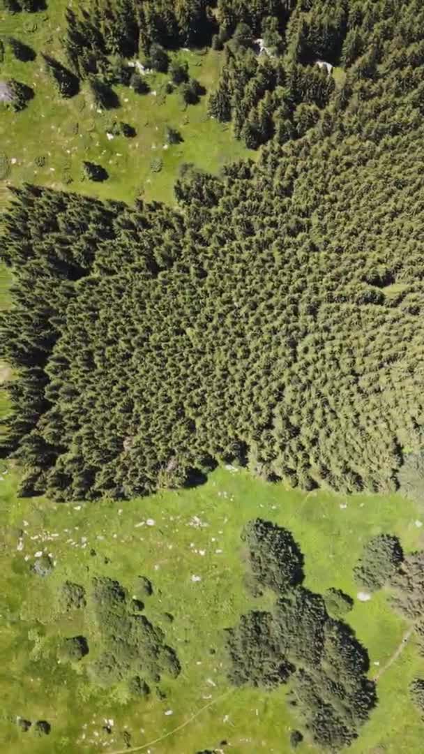 Amazing Aerial View Vitosha Mountain Kamen Del Peak Bulgaria — Video