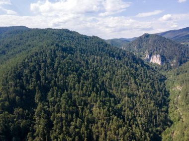 Aerial Summer view of Rhodope Mountains near village of Borino, Smolyan Region, Bulgaria