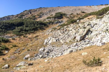 Autumn Landscape of Pirin Mountain near Polezhan Peak, Blagoevgrad region, Bulgaria
