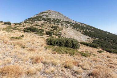 Autumn Landscape of Pirin Mountain near Polezhan Peak, Blagoevgrad region, Bulgaria