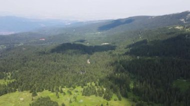 Bulgaristan 'ın Sofya Şehir Bölgesi, Vitosha Dağı' ndaki Konyarnika bölgesinin havadan görüntüsü