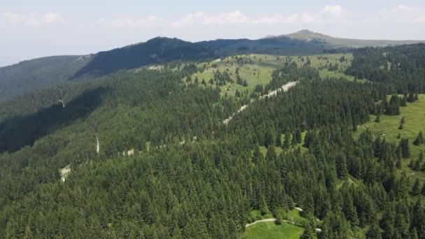 Flygfoto Över Konyarnika Området Vitosha Mountain Sofia City Region Bulgarien — Stockvideo