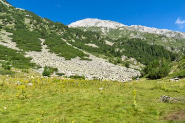 Amazing Summer landscape of Pirin Mountain near Banderitsa River, Bulgaria