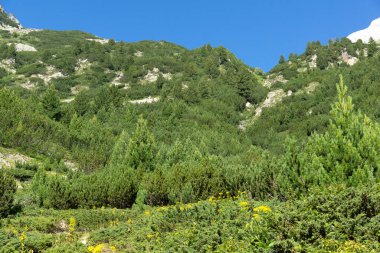 Amazing Summer landscape of Pirin Mountain near Banderitsa River, Bulgaria