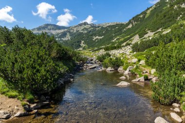 Amazing Summer landscape of Pirin Mountain near Banderitsa River, Bulgaria