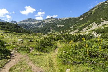 Amazing Summer landscape of Pirin Mountain near Banderitsa River, Bulgaria