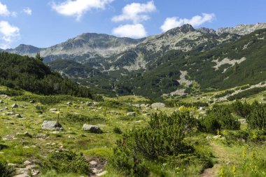 Amazing Summer landscape of Pirin Mountain near Banderitsa River, Bulgaria