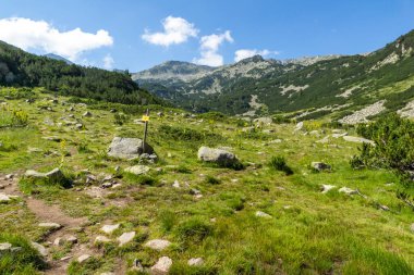 Amazing Summer landscape of Pirin Mountain near Banderitsa River, Bulgaria