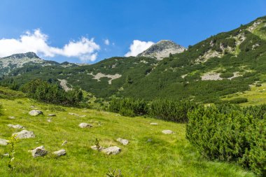 Amazing Summer landscape of Pirin Mountain near Banderitsa River, Bulgaria