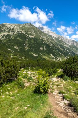 Amazing Summer landscape of Pirin Mountain near Banderitsa River, Bulgaria