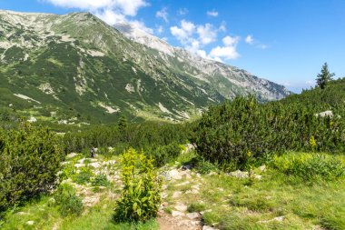 Amazing Summer landscape of Pirin Mountain near Banderitsa River, Bulgaria