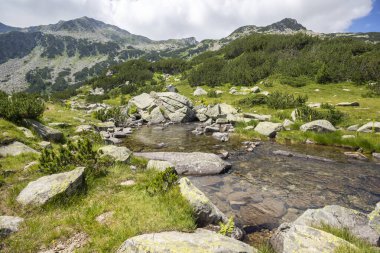 Amazing Summer landscape of Pirin Mountain near Banderitsa River, Bulgaria