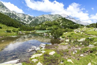 Amazing Summer landscape of Pirin Mountain near Banderitsa River, Bulgaria