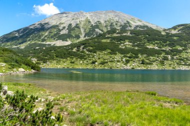 Amazing Summer landscape of Pirin Mountain near Banderitsa River, Bulgaria