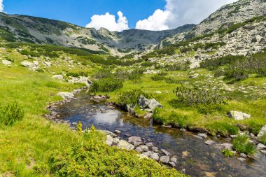 Amazing Summer landscape of Pirin Mountain near Banderitsa River, Bulgaria