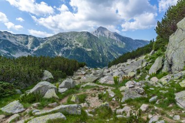 Amazing Summer landscape of Pirin Mountain near Banderitsa River, Bulgaria