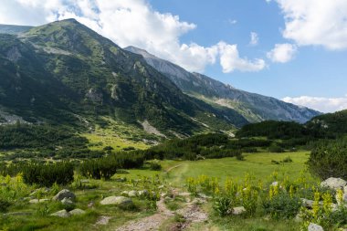 Amazing Summer landscape of Pirin Mountain near Banderitsa River, Bulgaria