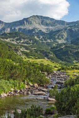 Amazing Summer landscape of Pirin Mountain near Banderitsa River, Bulgaria