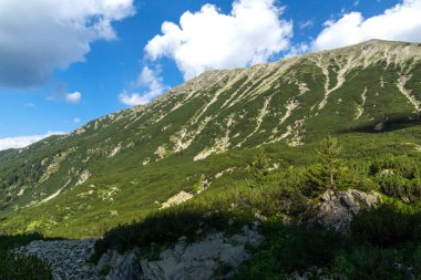 Amazing Summer landscape of Pirin Mountain near Banderitsa River, Bulgaria