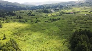 Bulgaristan 'ın Sofya Şehir Bölgesi, Vitosha Dağı' ndaki Konyarnika bölgesinin havadan görüntüsü