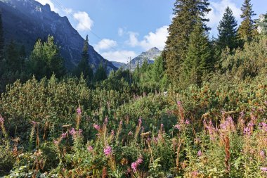Amazing Summer landscape of Rila Mountain near Malyovitsa hut, Bulgaria