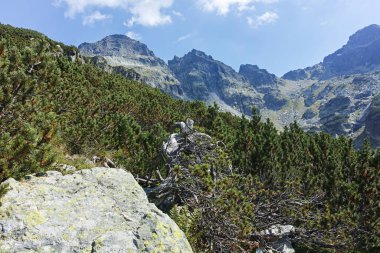 Amazing Summer landscape of Rila Mountain near Malyovitsa hut, Bulgaria