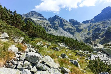 Amazing Summer landscape of Rila Mountain near Malyovitsa hut, Bulgaria
