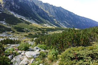 Amazing Summer landscape of Rila Mountain near Malyovitsa hut, Bulgaria