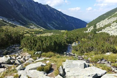 Amazing Summer landscape of Rila Mountain near Malyovitsa hut, Bulgaria