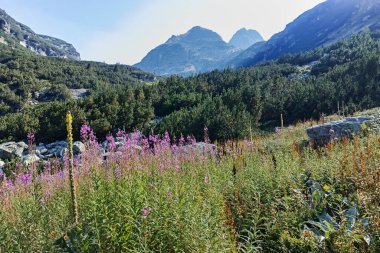 Amazing Summer landscape of Rila Mountain near Malyovitsa hut, Bulgaria