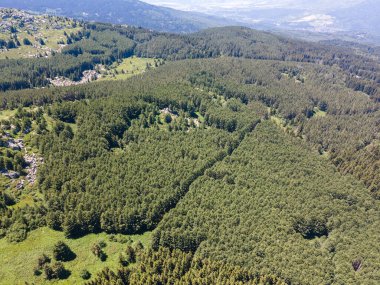 Amazing Aerial view of Vitosha Mountain near Kamen Del Peak, Bulgaria