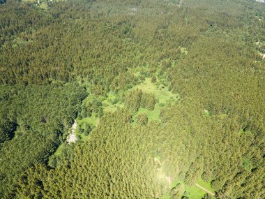 Amazing Aerial view of Vitosha Mountain near Kamen Del Peak, Bulgaria