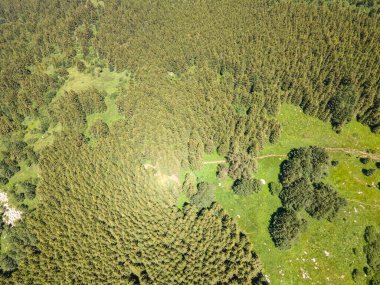 Amazing Aerial view of Vitosha Mountain near Kamen Del Peak, Bulgaria